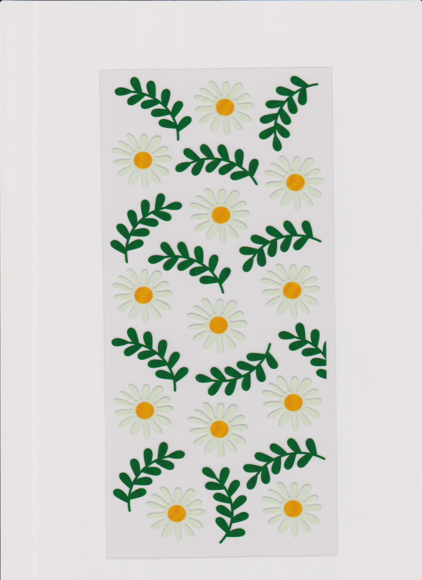 Wrap #64